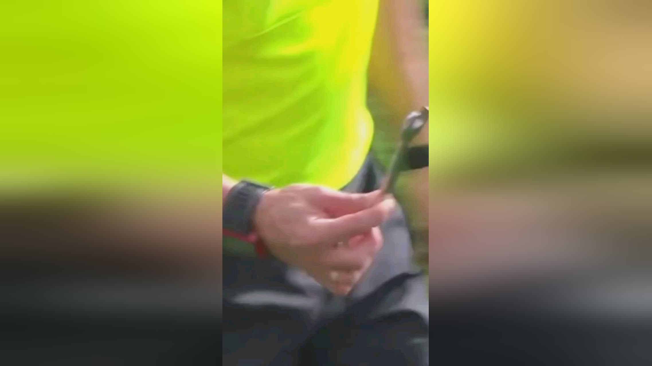 馬龍
